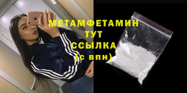 индика Богородск