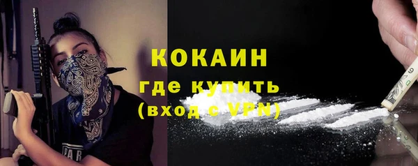 индика Богородск
