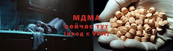 индика Богородск
