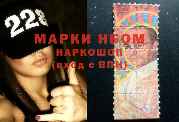 индика Богородск