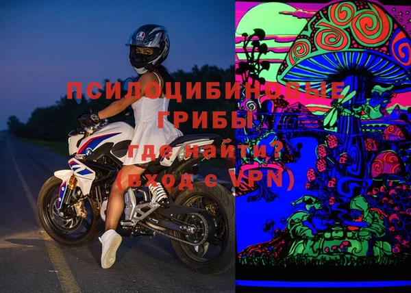 индика Богородск