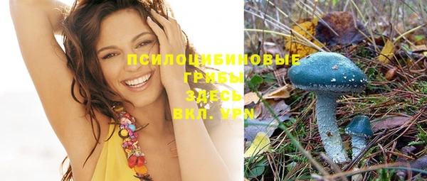 индика Богородск