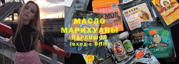индика Богородск
