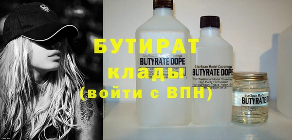 индика Богородск